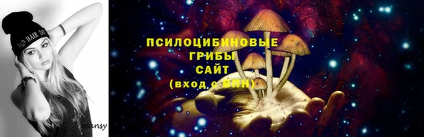 гидра Покров