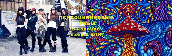 гидра Покров